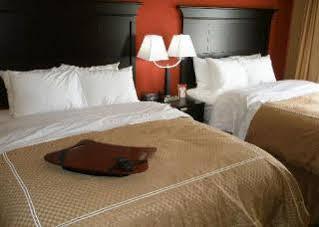 Comfort South 3*
